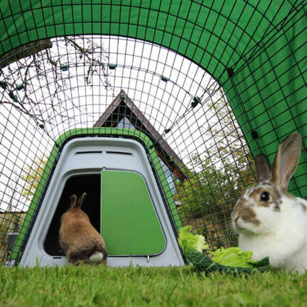 Your bunnies will love the Eglu Go Hutch