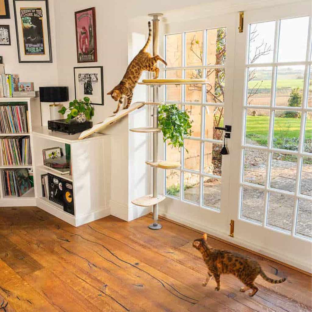 Choose the Freestyle Cat Tree pole kit that fits your room, and attach accessories of your choice for your cat to enjoy
