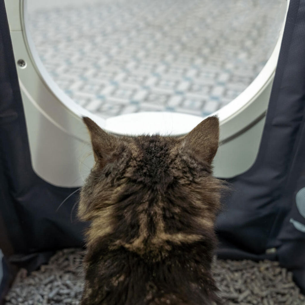 Maya Cat Litter Box | Litter Liner for Walk In