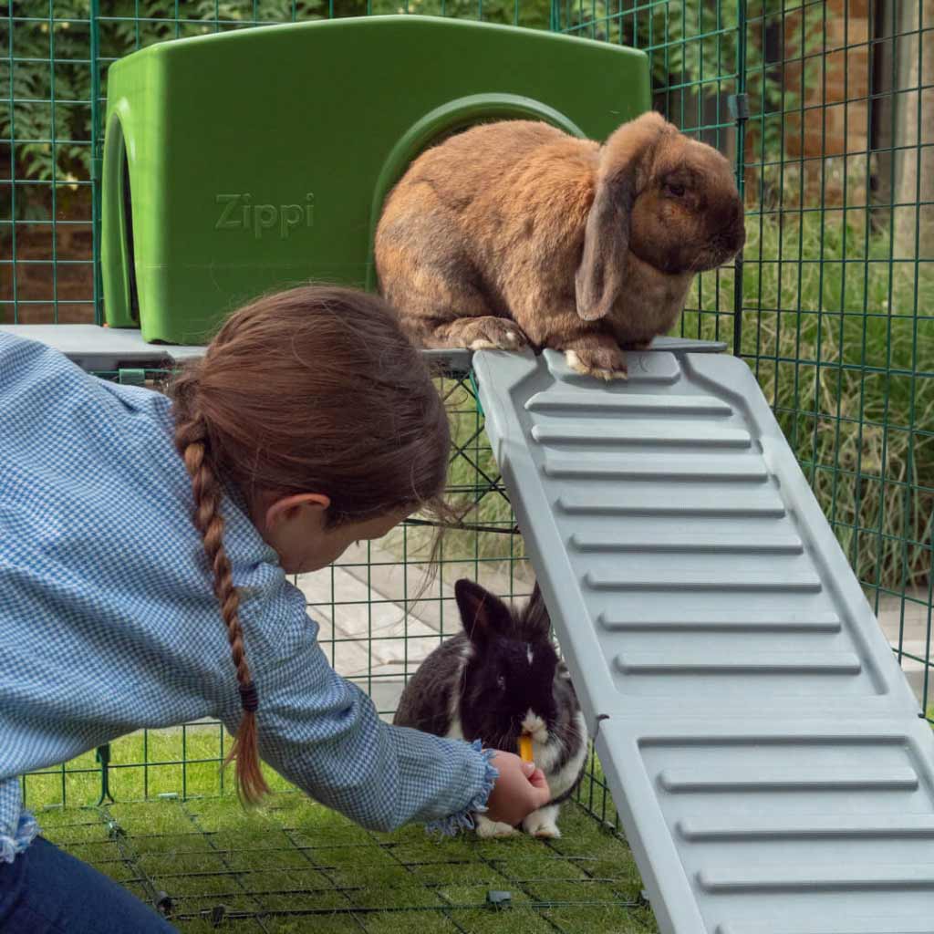 Rabbits have a natural instinct to seek a hidey-hole and the Zippi Rabbit Shelter is perfect for providing that