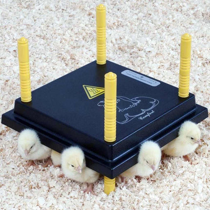 Comfort Chick Warmer | Heat Plate