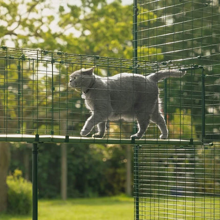 Omlet catio tunnel system keeps your cats safe