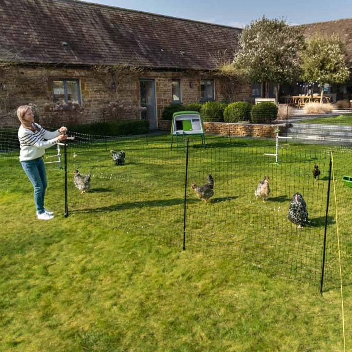 Poultry Omlet Chicken Fencing To Contain Your Hens