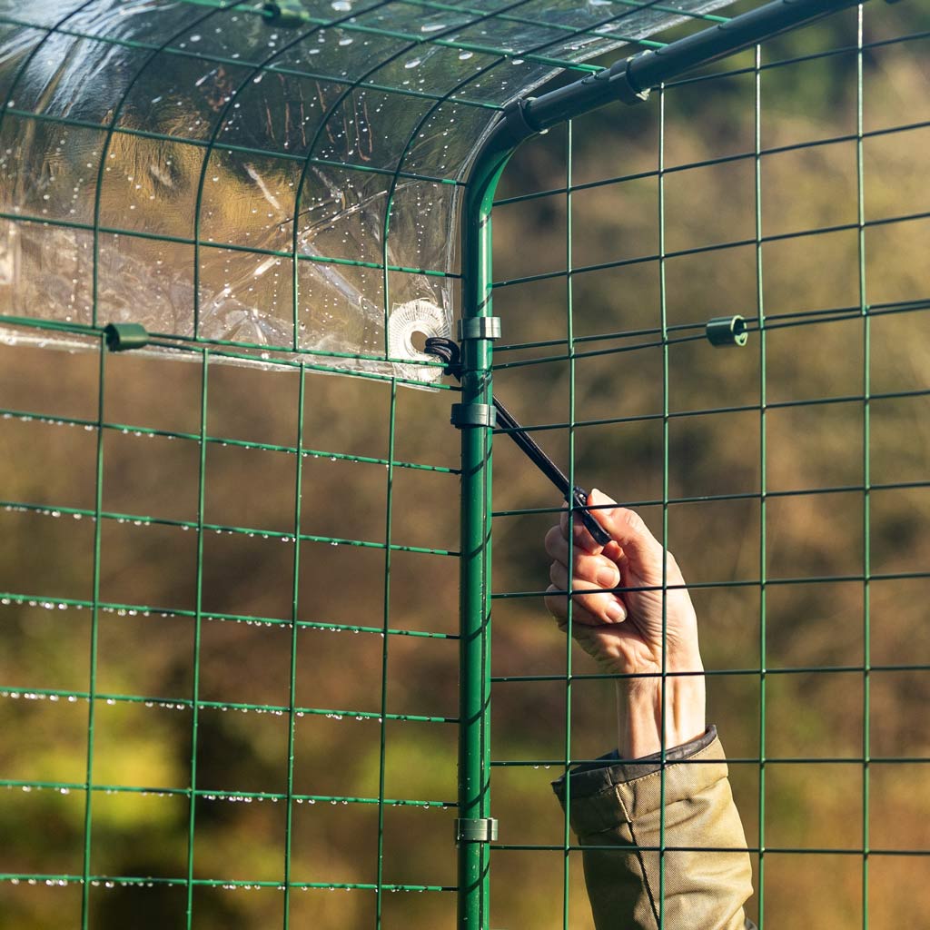 Walk in run clear cover showing bungee hook attachment 