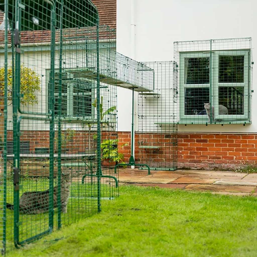 modular design allows you to connect the catio tunnel to any window