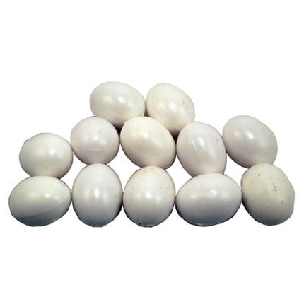 Dove or Pigeon Nest Eggs | One Dozen
