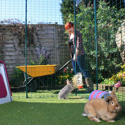 Omlet Outdoor Run for Rabbits & Guinea Pigs provides your pets with lots of safe outdoor space