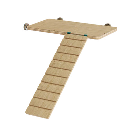 Ramp and platform kit for your pet mice