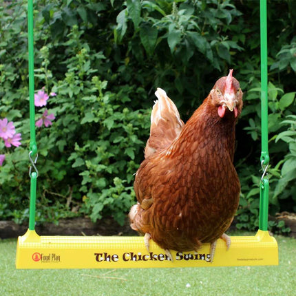 The Chicken Swing