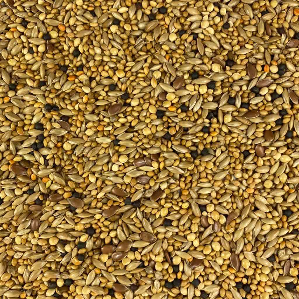 Finch seed mix closeup