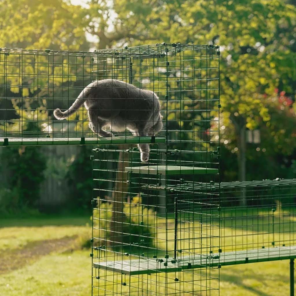 towers and stands create a safe and sturdy outdoor explore catio tunnel system