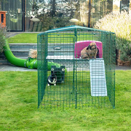 Connect your rabbit or guinea pig hutch to a Zippi Playpen or Run