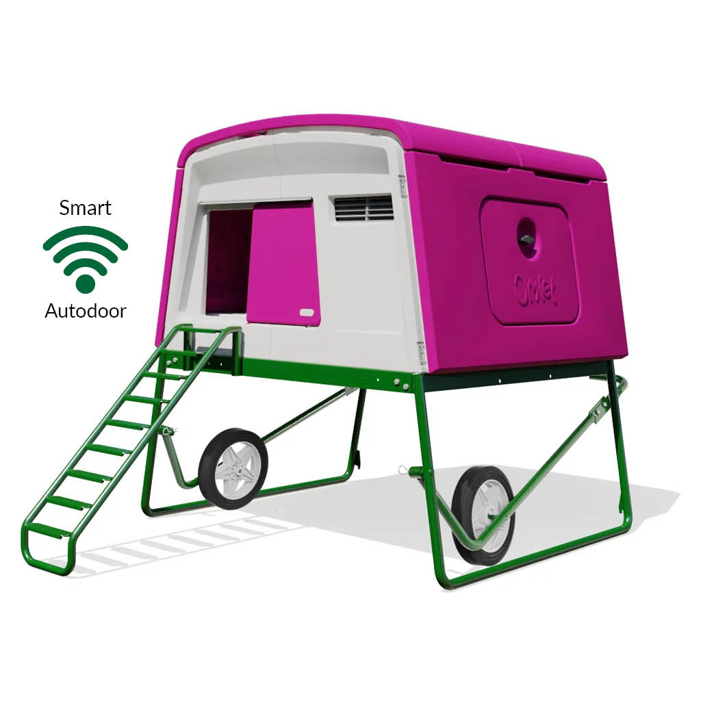 Purple Eglu Cube chicken coop with wheels and Smart Autodoor