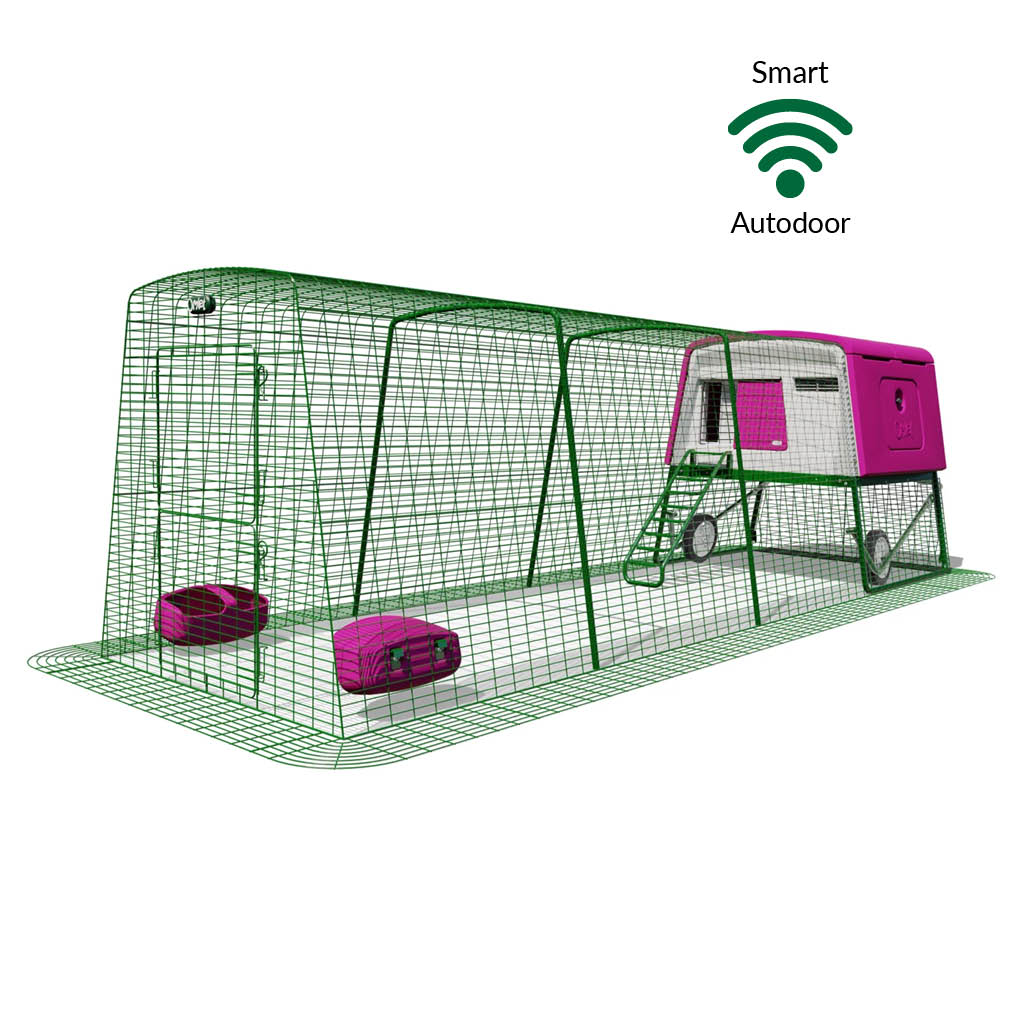 Purple Eglu Cube chicken coop with wheels and Smart Autodoor plus 4m run