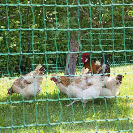 Chicken Fencing 50m | Non-Electric | Poulnet