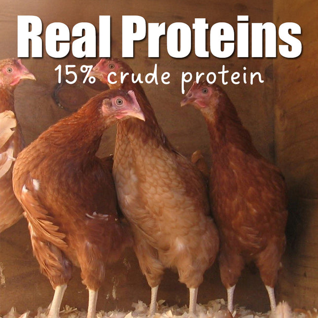 Weston Chook Grow Real Proteins