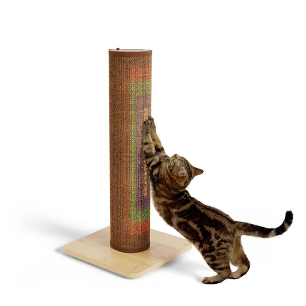 Lights, stretch, scratch. Switch Light Up LED Cat Scratching Post coffee colour