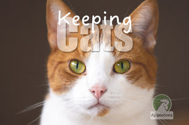 Guide | Keeping Cats