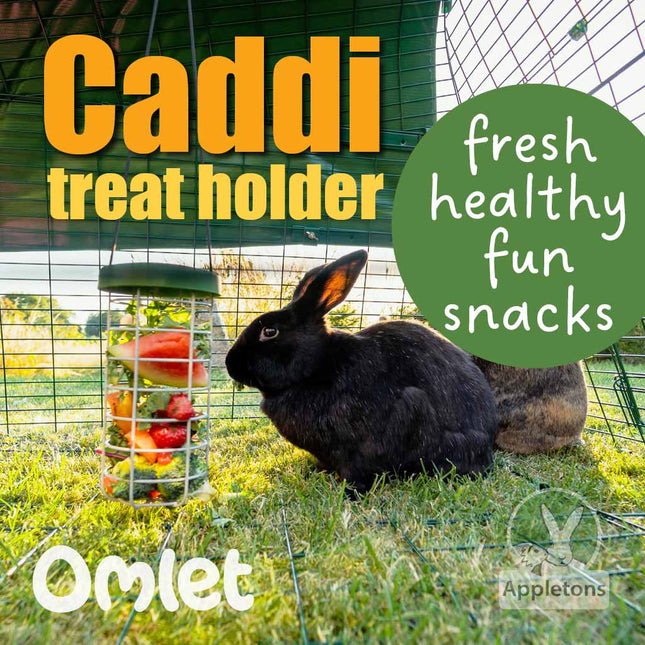 Omlet Caddi Treat Holder for Rabbits & Guinea Pigs