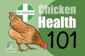 Appletons Guide | Chicken Health 101
