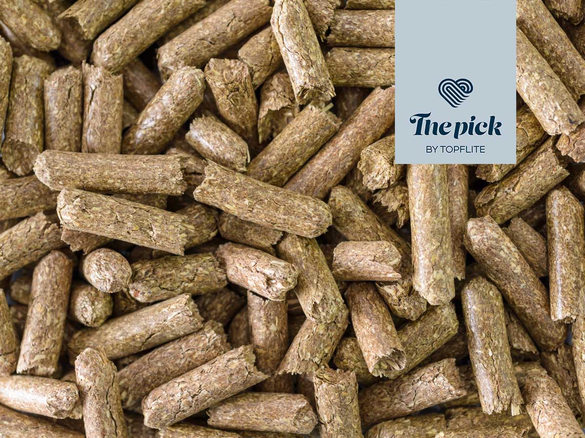 The Pick - Pressed Timothy Hay 1.5kg | Topflite