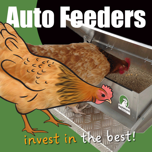 Invest in an auto feeder!