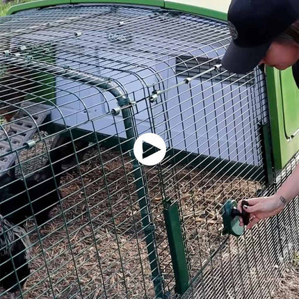 Easy Access Run Door is a total game changer for Eglu Cube and Pro owners