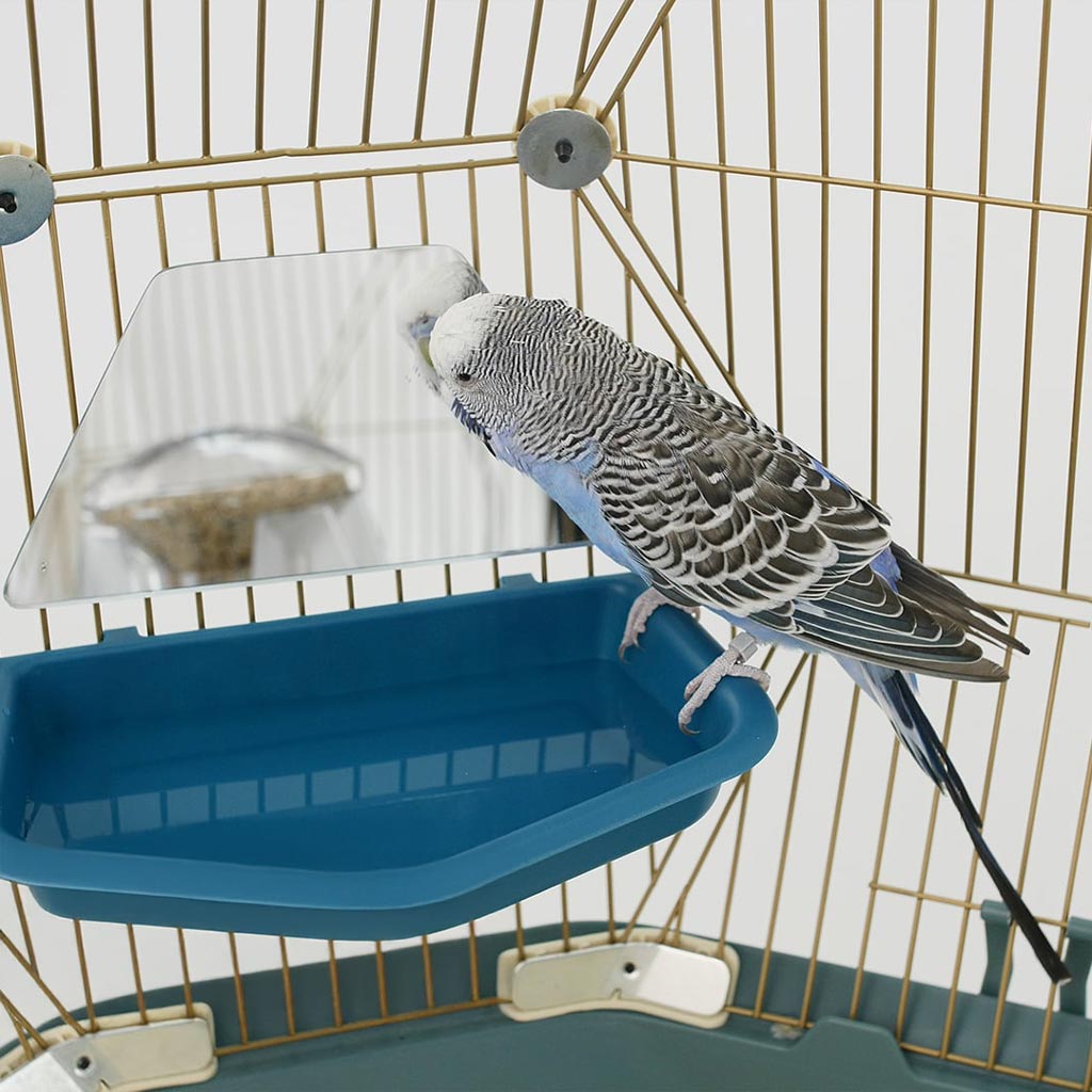 Geo Bird Bath and Mirror - The perfect accessories for your Geo Bird Cage