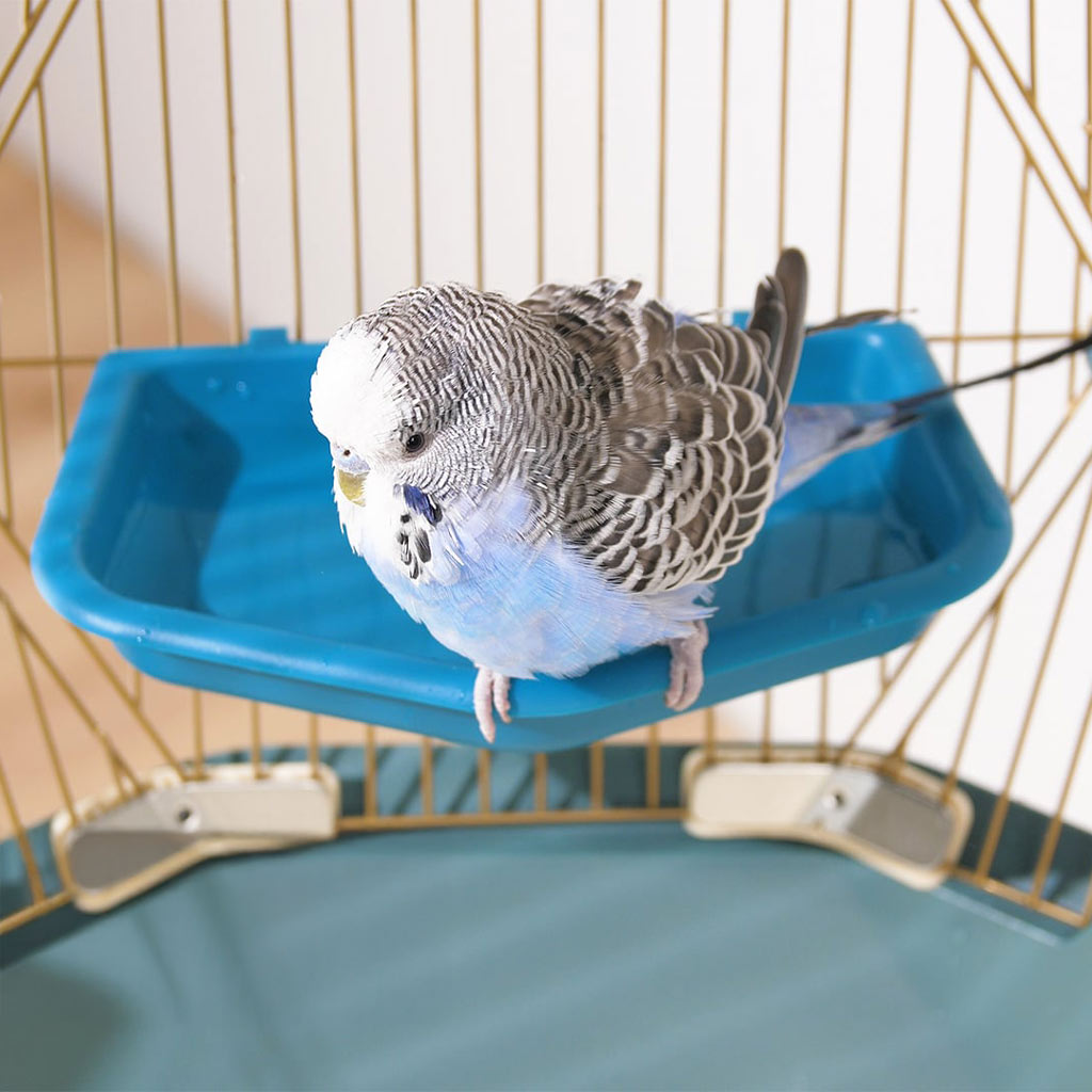 Geo Bird Bath - The perfect accessory for your Geo Bird Cage