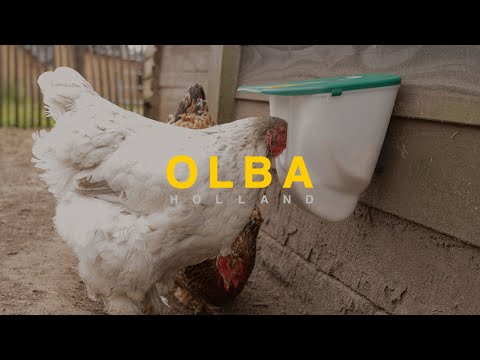 V-Feedr 2.5kg | No Waste Poultry Feeder