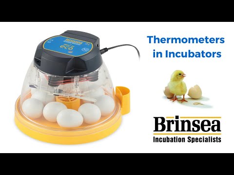 New Maxi 24 Advance Incubator | Brinsea