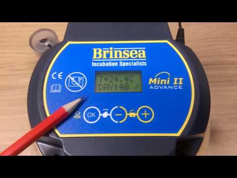 Mini II Advance Incubator | Brinsea