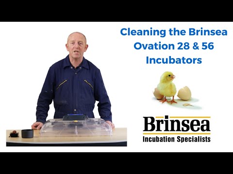 Ovation 56 EX Incubator | Brinsea