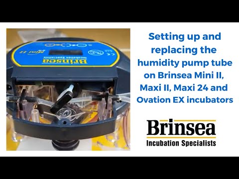 Mini II EX Incubator | Brinsea