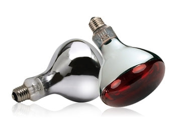 250 Watt Infrared Lamps | Glass Bulbs