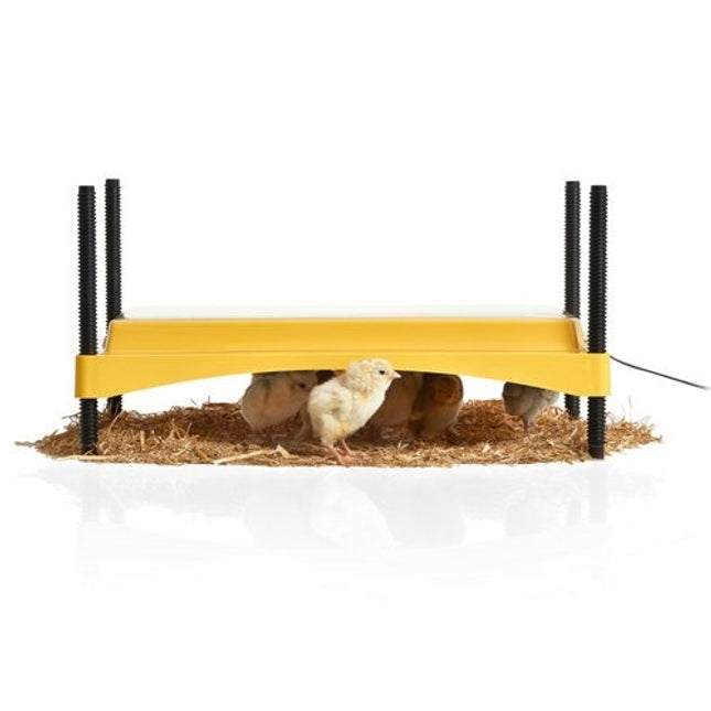 Brinsea ecoglow safety 1200