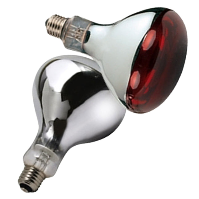 250 watt glass infrared lamps twin-pack