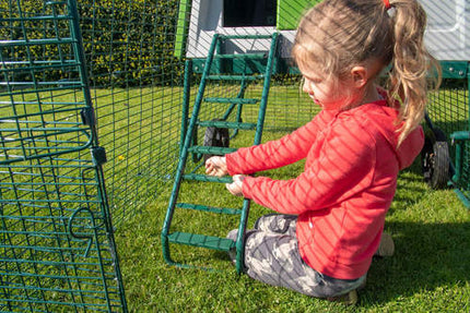 installing eglu ladder grips