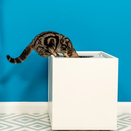 The Top Entry cat litter box furniture has an anti-tracking platform to prevent loose litter from being walked around your home.